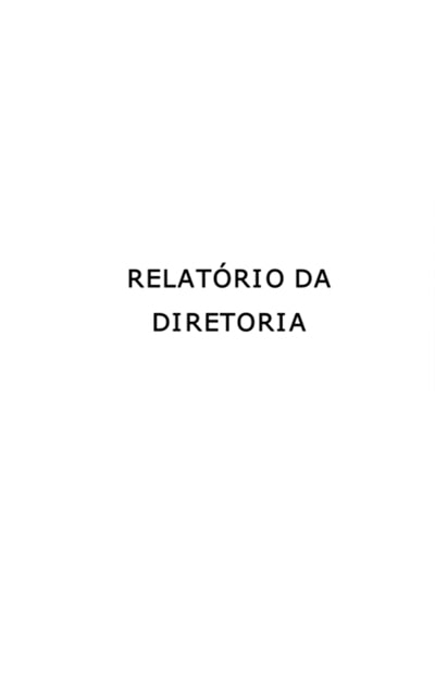 Relatório Anual 2007