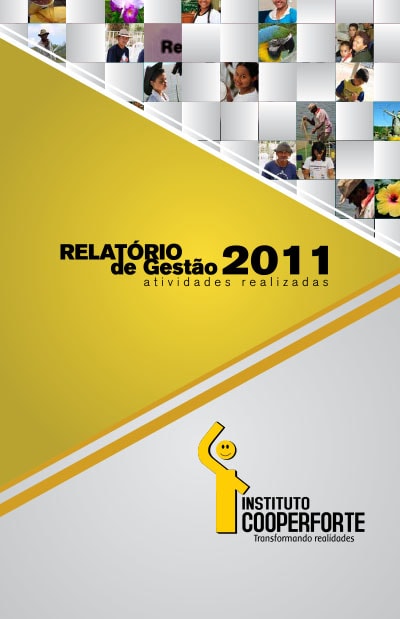 Relatório Anual 2017 by Fundação Abrinq - Issuu